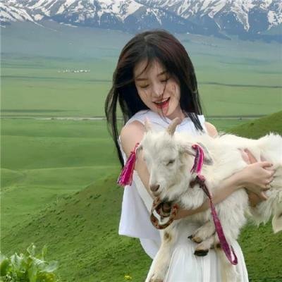 肥猫寻亲记